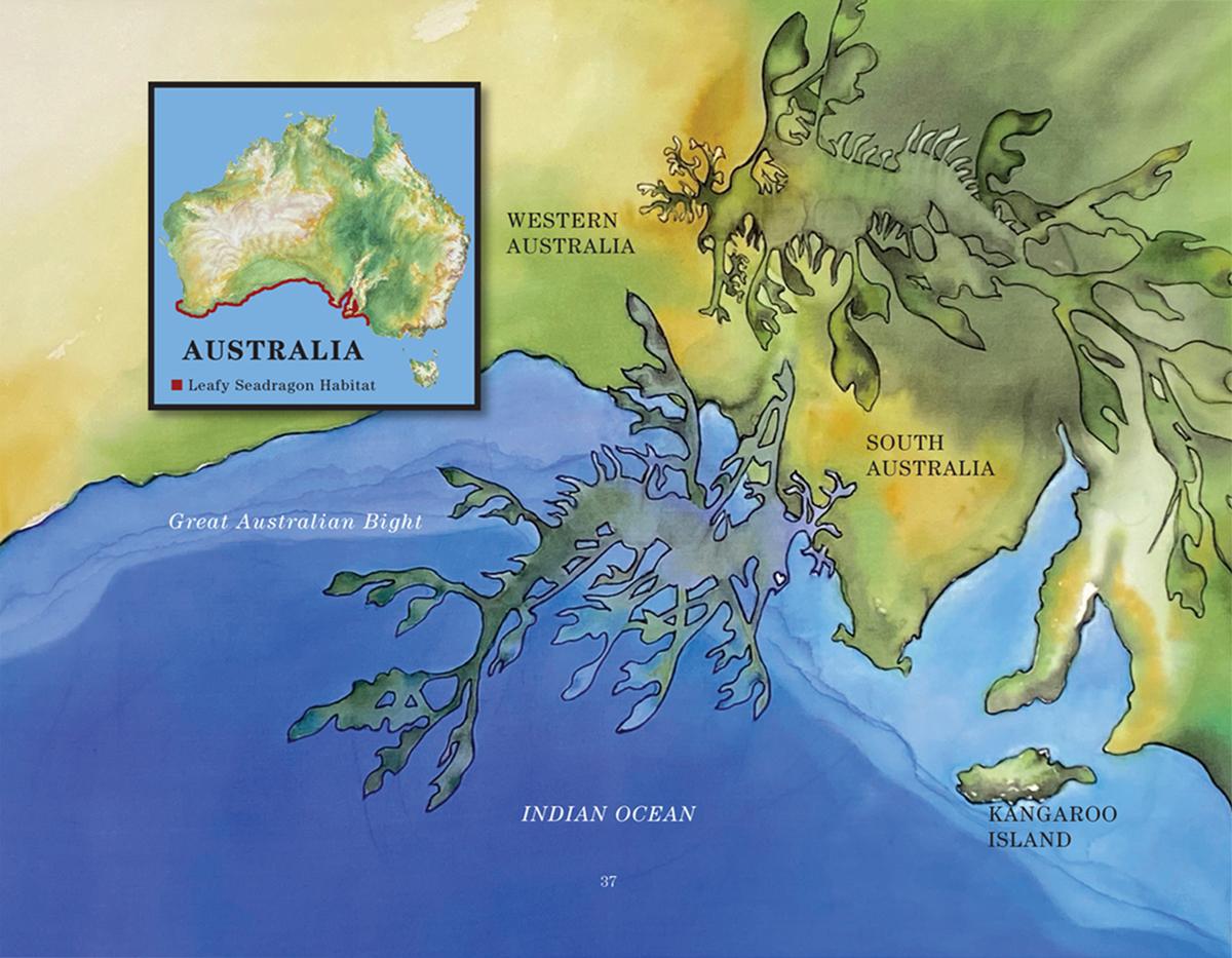 Map-pg37-Australia-1200x933-2 Map of Australia Leafy Seadragon Habitat