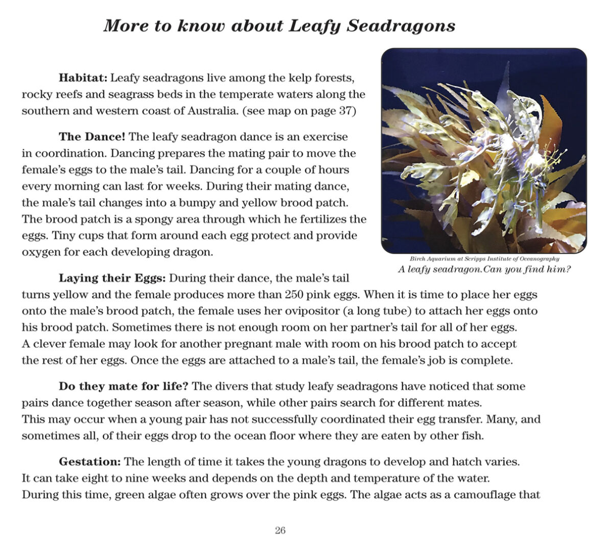 Page 26 More to Know text